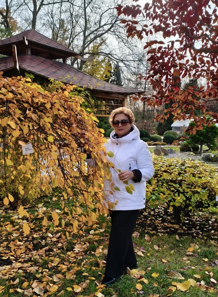 ���������� ������, ���� ������� �����, 63 ����, ������������ ��� ������, ����� � ���������