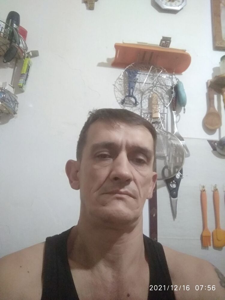  24638869  , 51 ,    