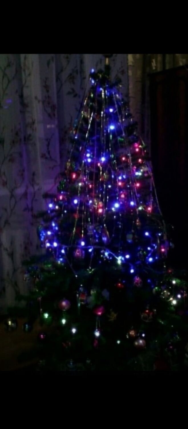 ���� 55073859 ����� �������, 18 ���, ���� ���������� � ���