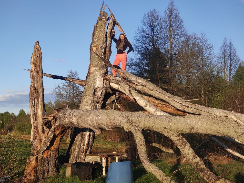 ���������� ������ ��������, ���� ������� �����, 26 ���, ������������ ��� ����� � ���������, c�������� ���������