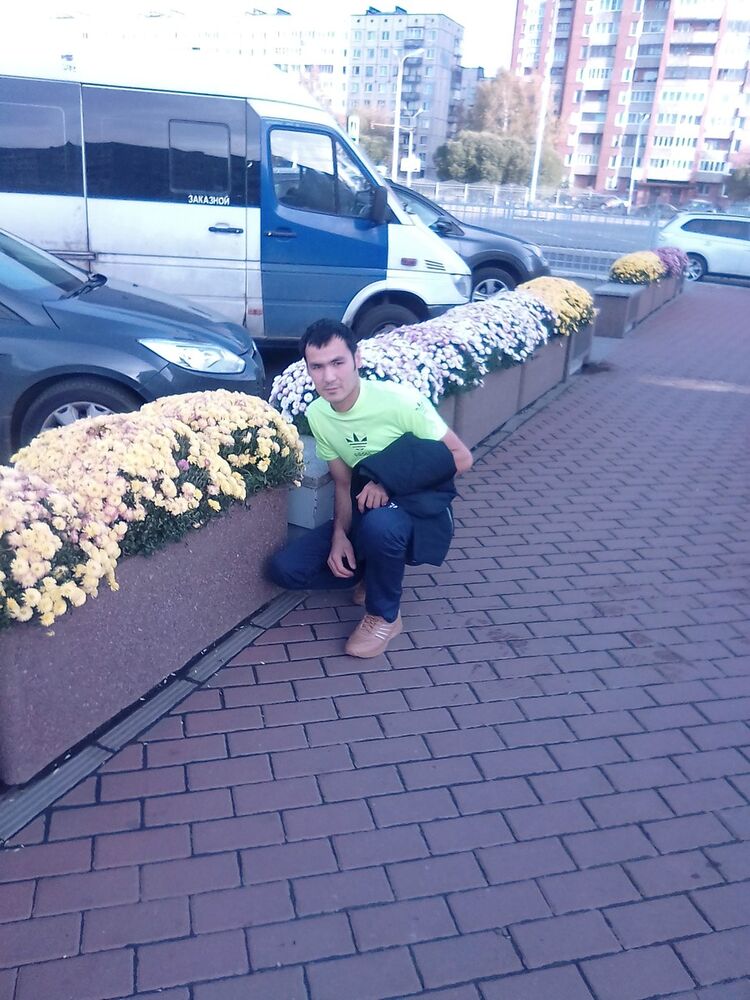  13723279  , 33 ,    -