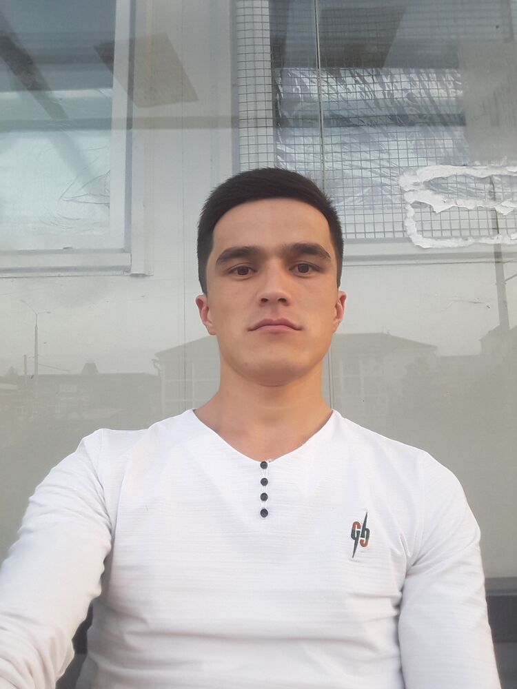  23683839  , 28 ,    