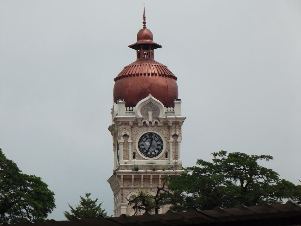 ���� 6476829 ������� Finch, 61 ���, ���� ���������� � ����������