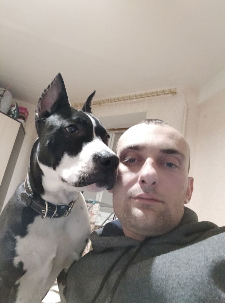 ���� 24934979 ������� ����, 38 ���, ���� ���������� � ������