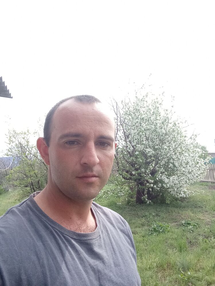  42833649  , 29 ,    