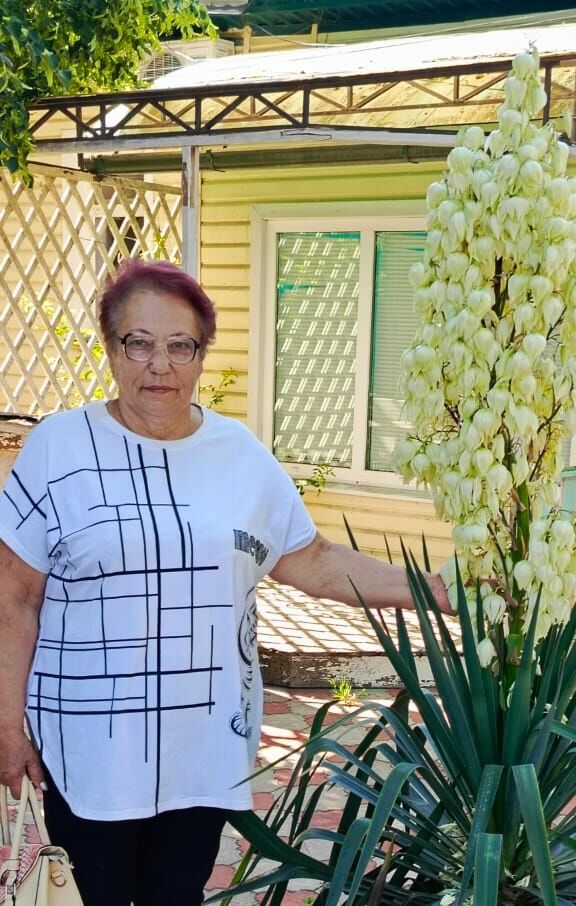 ���� 55788039 ������� �������, 74 ����, ���� ���������� � �����������