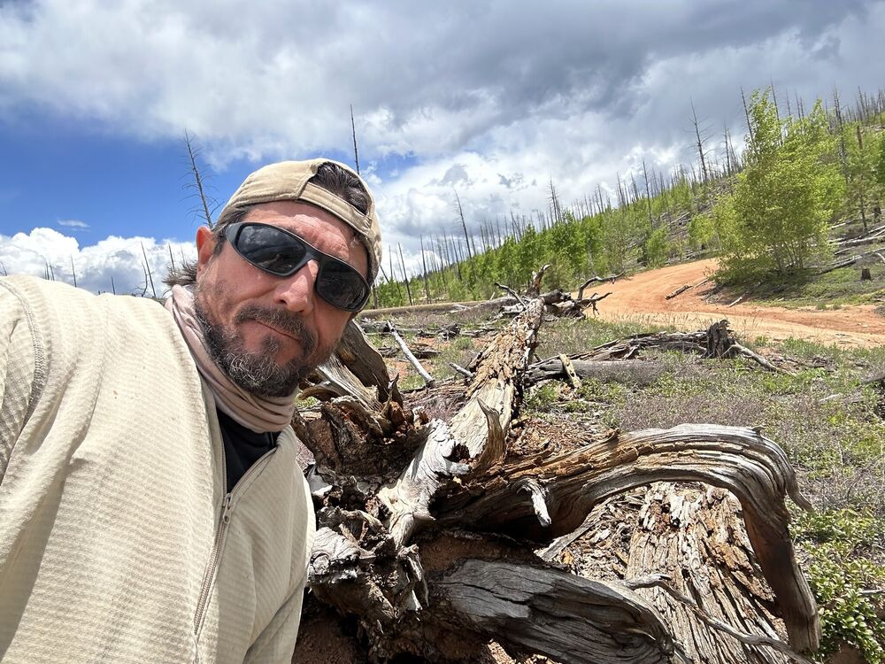 ���� 47842399 ������� �����, 55 ���, ���� ���������� � ������