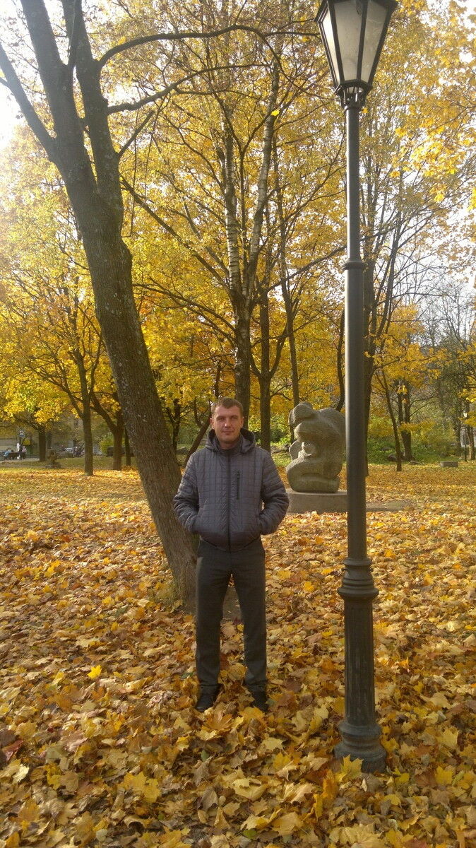 ���� 10649359 ������� ������, 42 ����, ���� ���������� � ����������