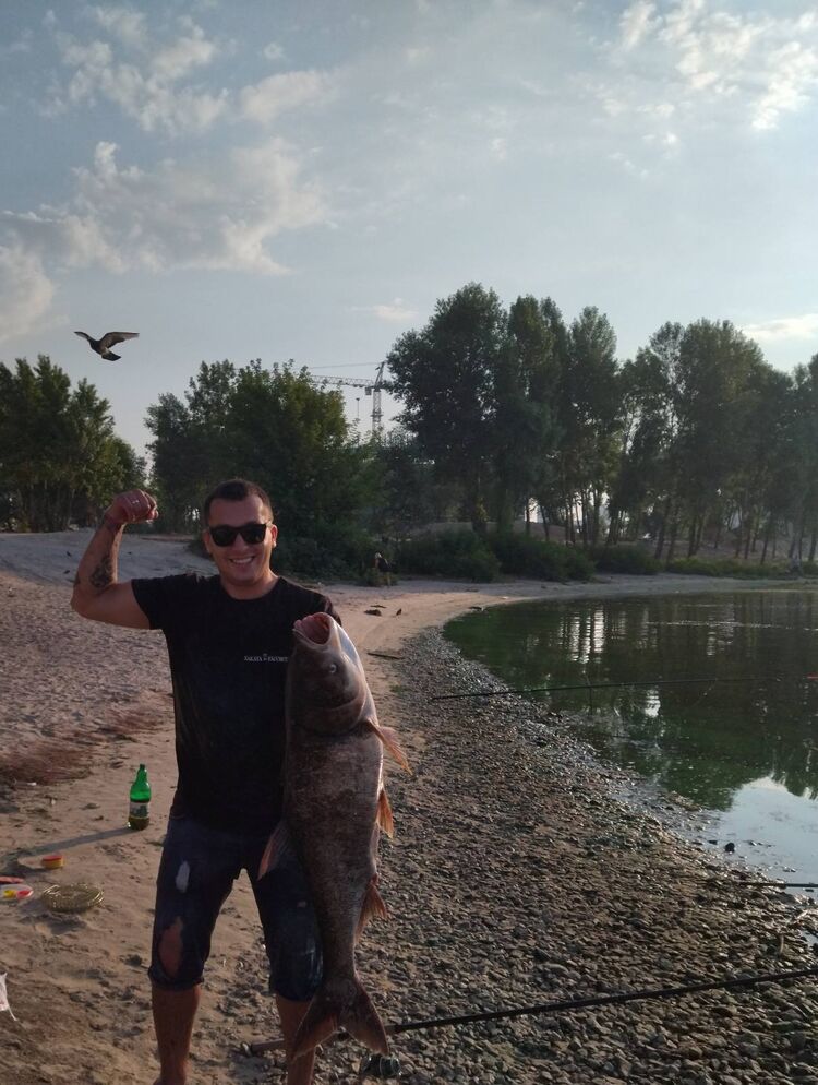 ���������� ����, ���� ������� ���������, 36 ���, ������������ ��� ������, ����� � ���������