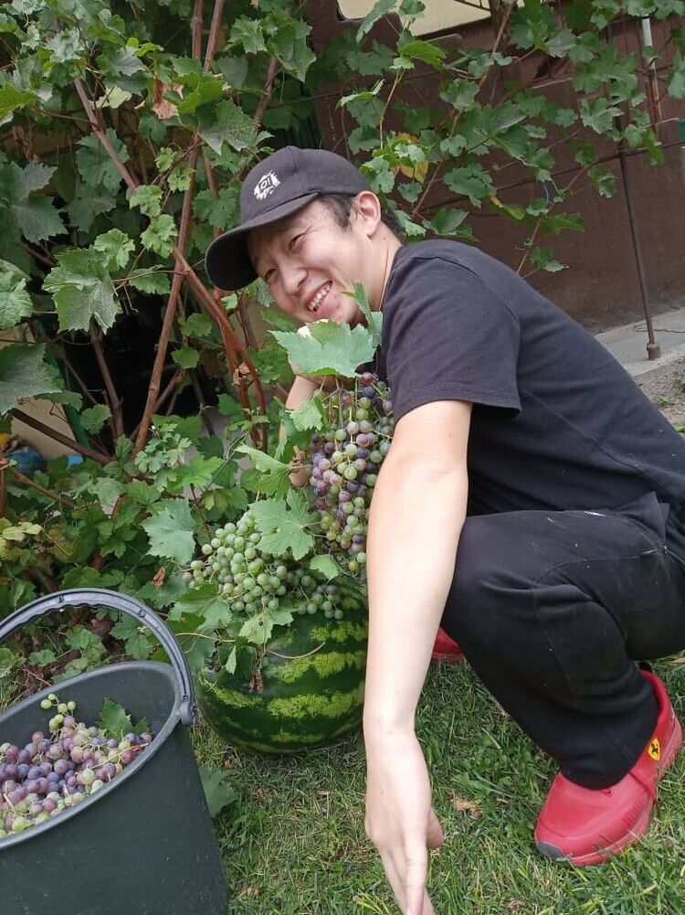 ���� 20449569 ������� Jolaman, 31 ���, ���� ���������� � �������