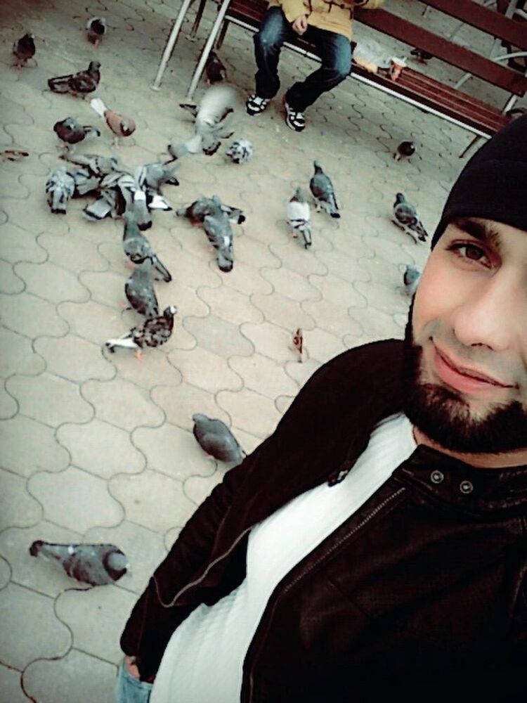 ���������� ������������, ���� ������� �������, 27 ���, ������������ ��� ������, ����� � ���������, c�������� ���������