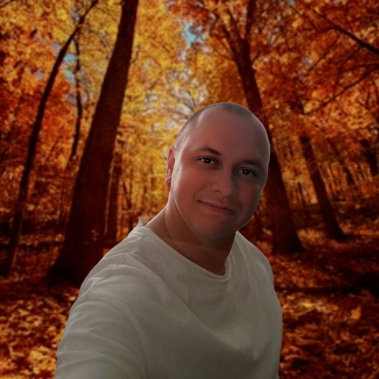 ���� 53456319 ������� ���������, 36 ���, ���� ���������� � �����������