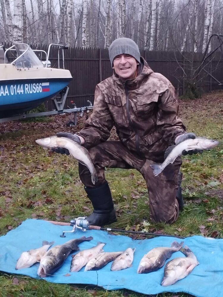 ���������� ������, ���� ������� ����, 43 ����, ������������ ��� ������, ����� � ���������, c�������� ���������