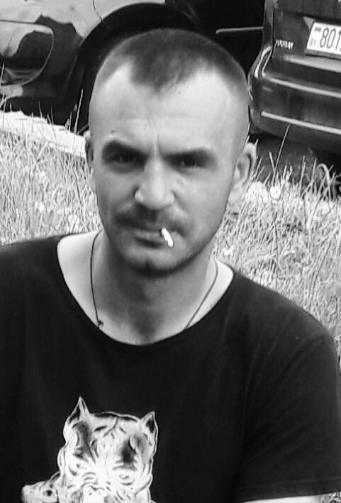  53931549  , 38 ,    