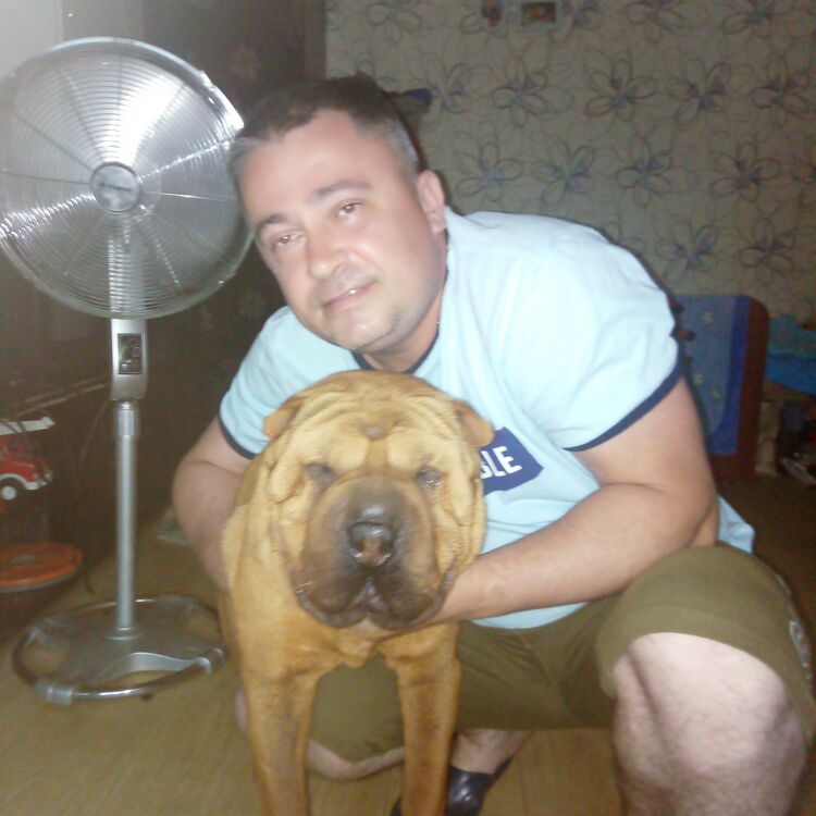 ���� 24627989 ������� �������, 45 ���, ���� ���������� � �������