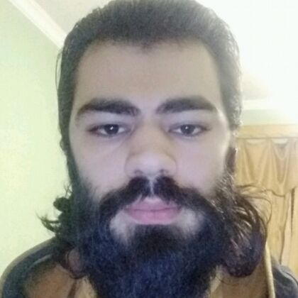 ���� 22905259 ������� PARZIVAL, 28 ���, ���� ���������� � �������