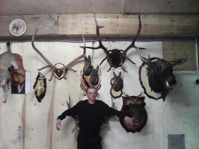 ���������� �������, ���� ������� ���������, 43 ����, ������������ ��� ������, ����� � ���������, c�������� ���������