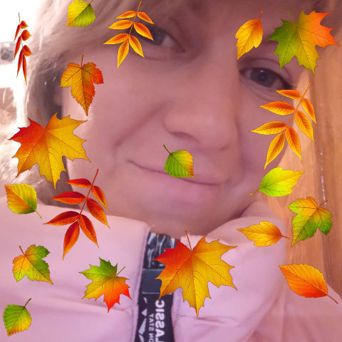 ���� 24312359 ������� �����, 40 ���, ���� ���������� � �������