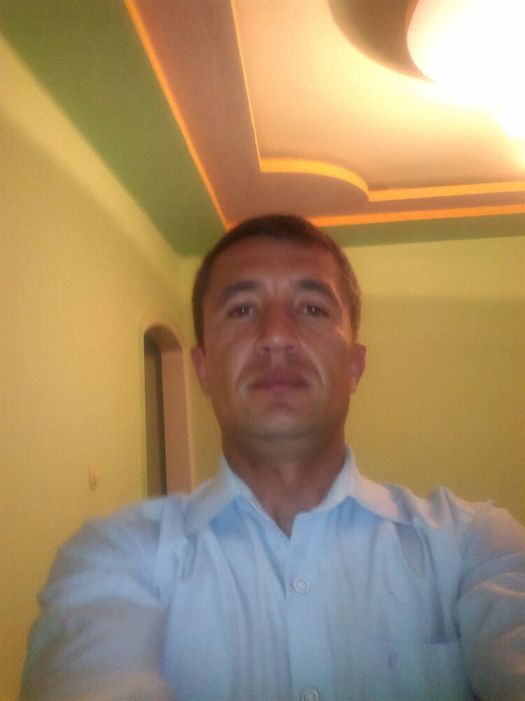  7328319  , 40 ,    