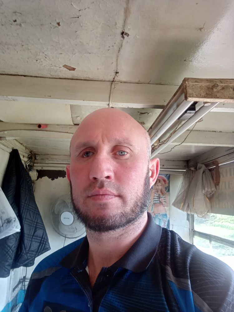  33823479  , 37 ,    