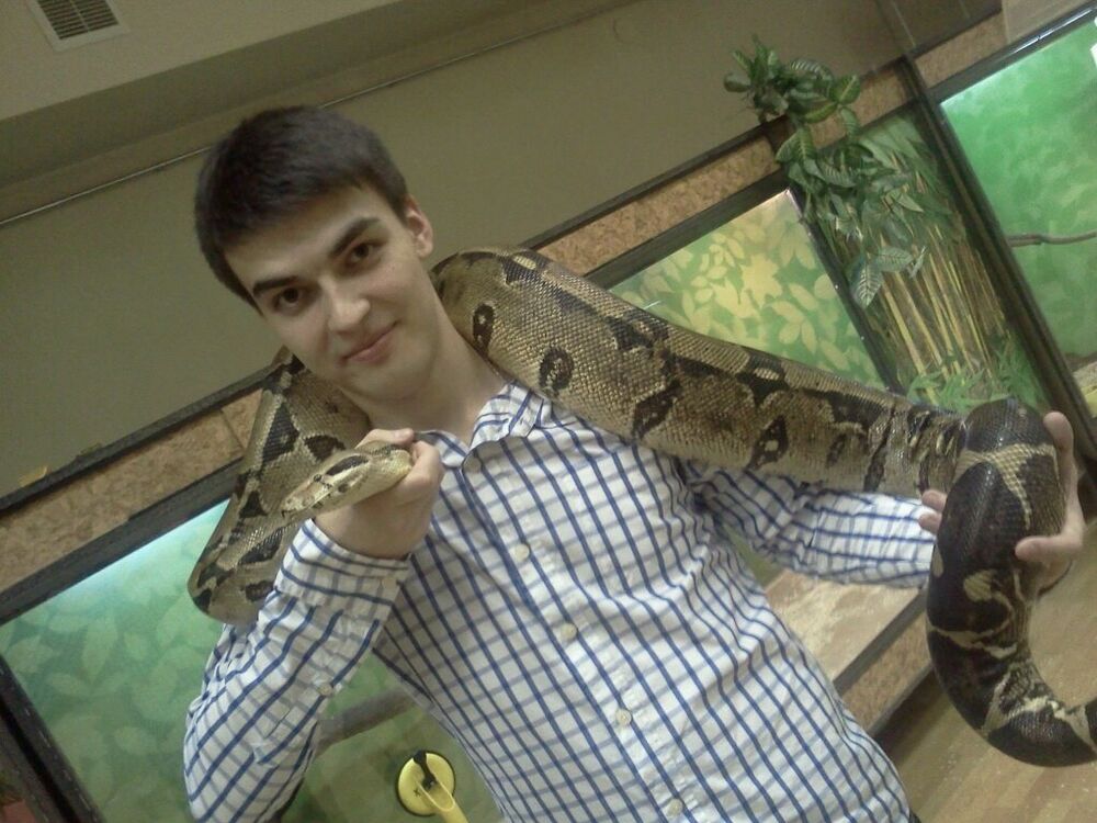 ���������� ������, ���� ������� RASUL, 33 ����, ������������ ��� ������, ����� � ���������, c�������� ���������, ���������