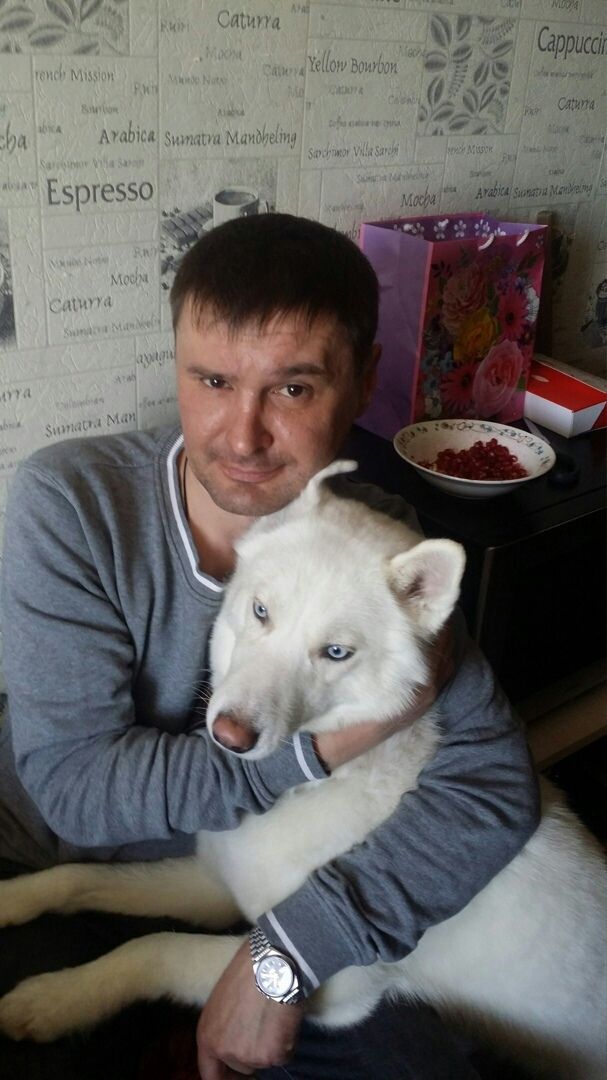 ���������� ���������, ���� ������� ������, 43 ����, ������������ ��� ������, ����� � ���������, c�������� ���������