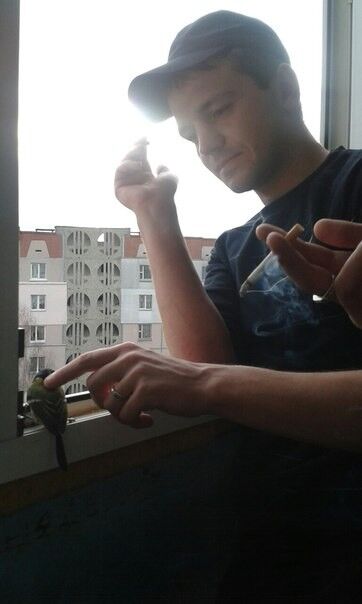 ���������� �����, ���� ������� ����, 36 ���, ������������ ��� ������, ����� � ���������, c�������� ���������