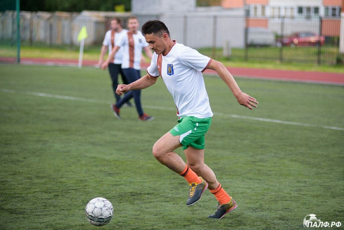 ���� 34719519 ������� ����������, 36 ���, ���� ���������� � �����-����������