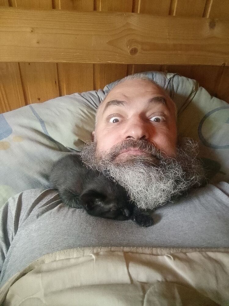 ���� 52491879 ������� ���������, 52 ����, ���� ���������� � ����������