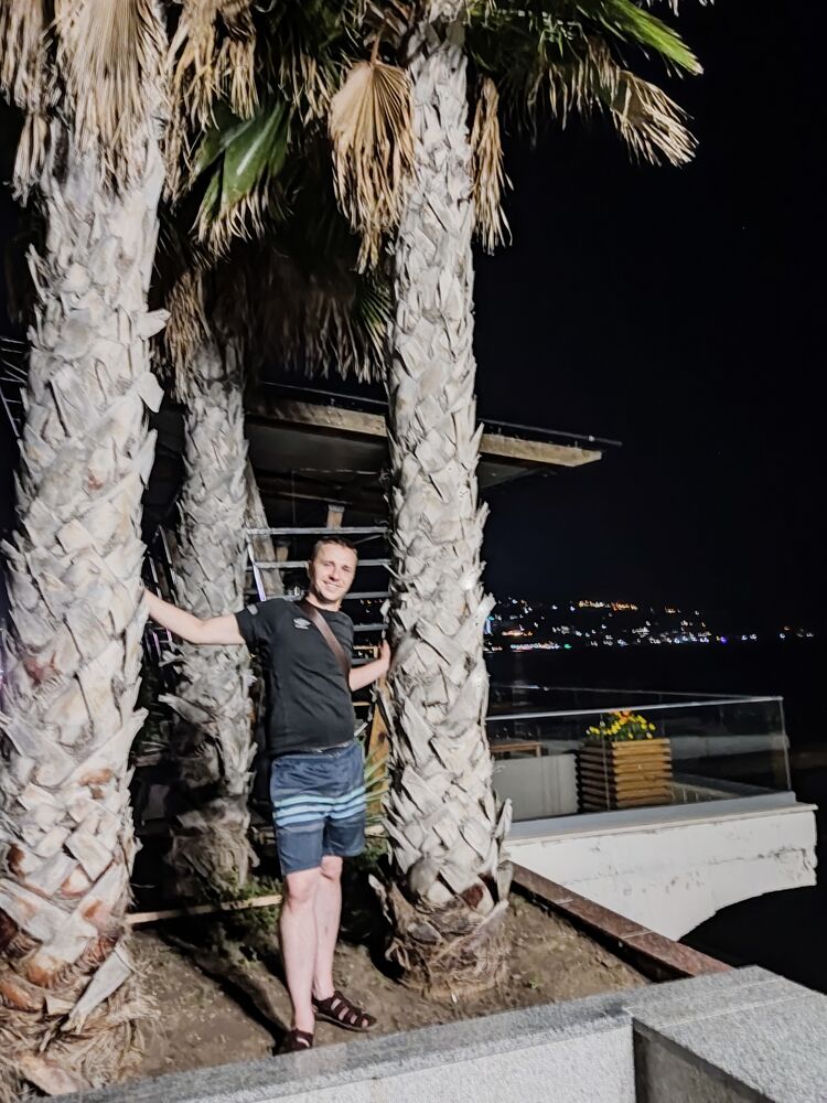  36655589  , 41 ,    -