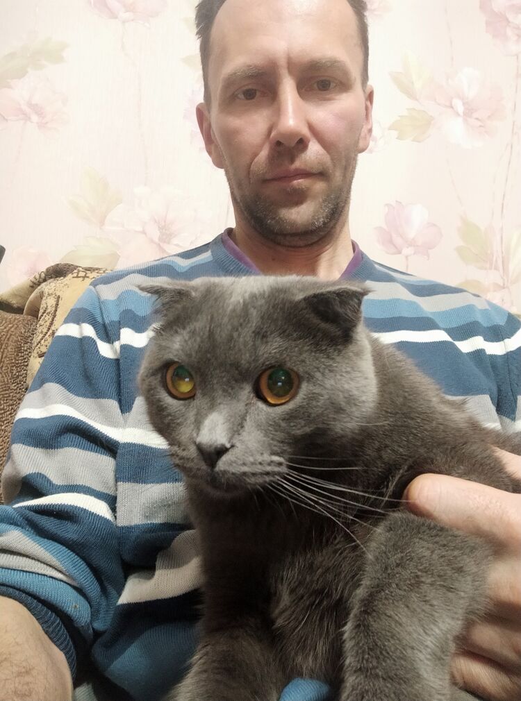 ���� 38209139 ������� ����, 50 ���, ���� ���������� � ����������