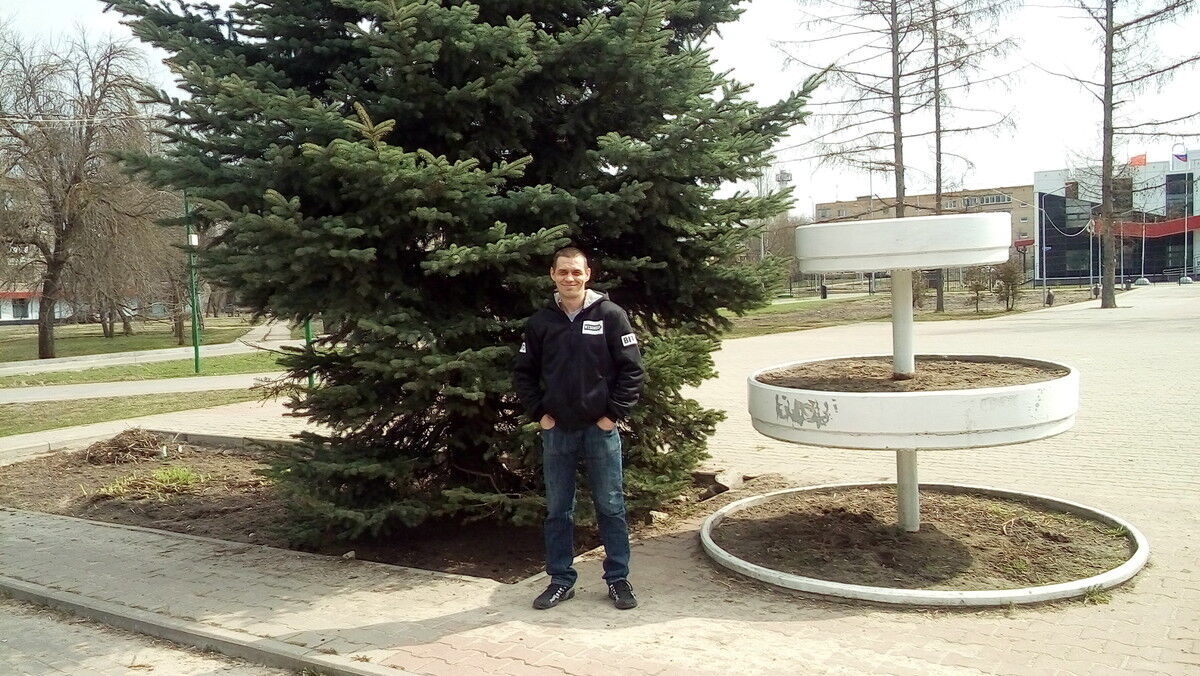  17804129  , 43 ,    