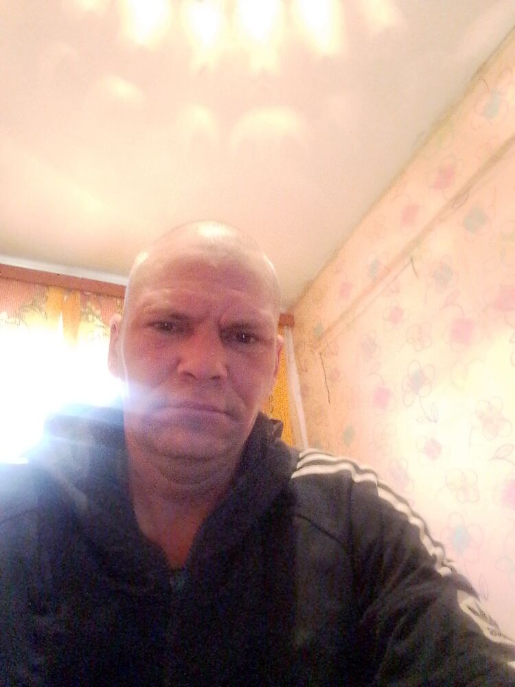  42825339  , 39 ,    