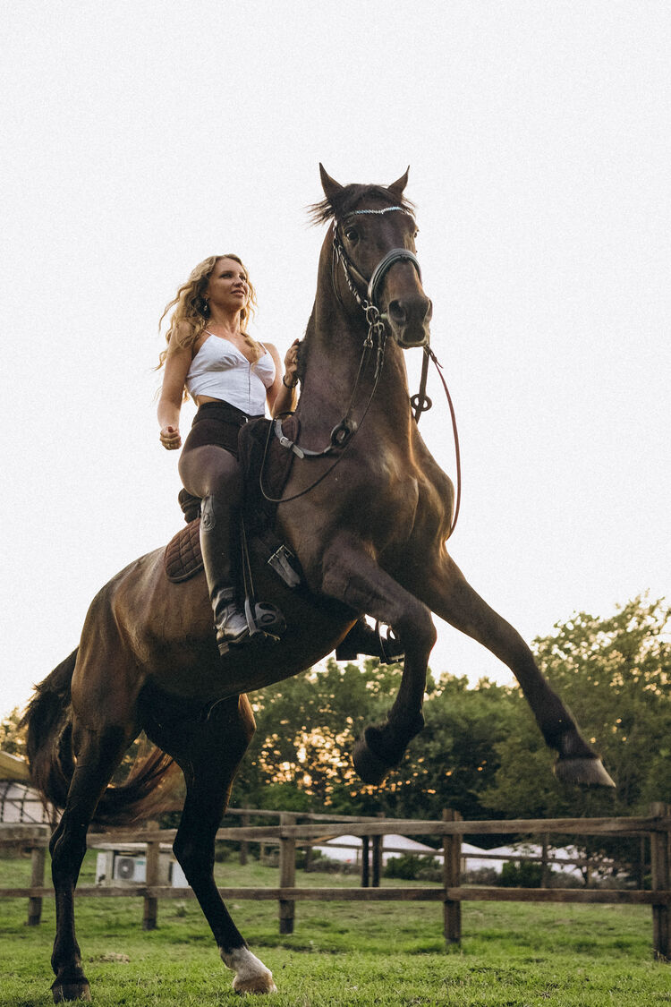 ���������� ������, ���� ������� ����, 42 ����, ������������ ��� ����� � ���������, c�������� ���������