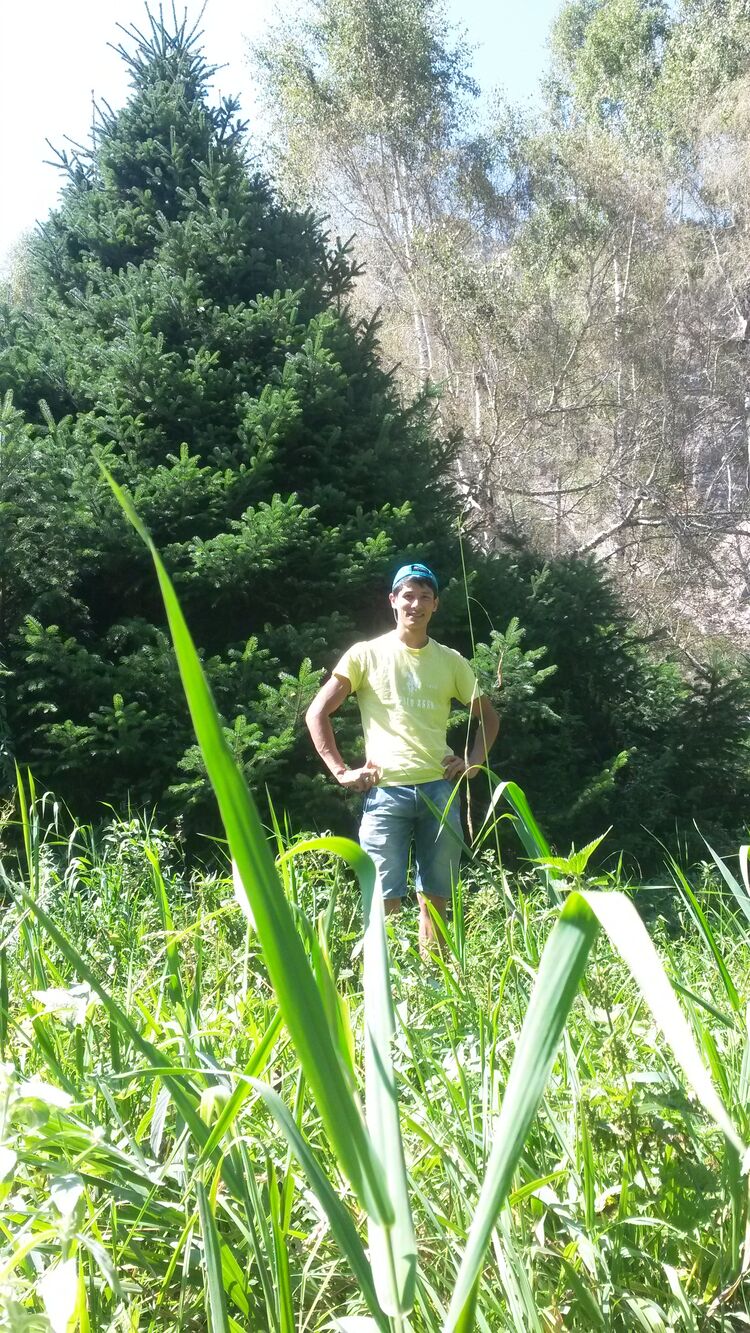 ���������� ������, ���� ������� ����, 32 ����, ������������ ��� ������, ����� � ���������, ���������