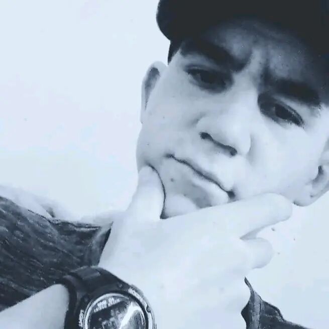  43778639  , 22 ,    