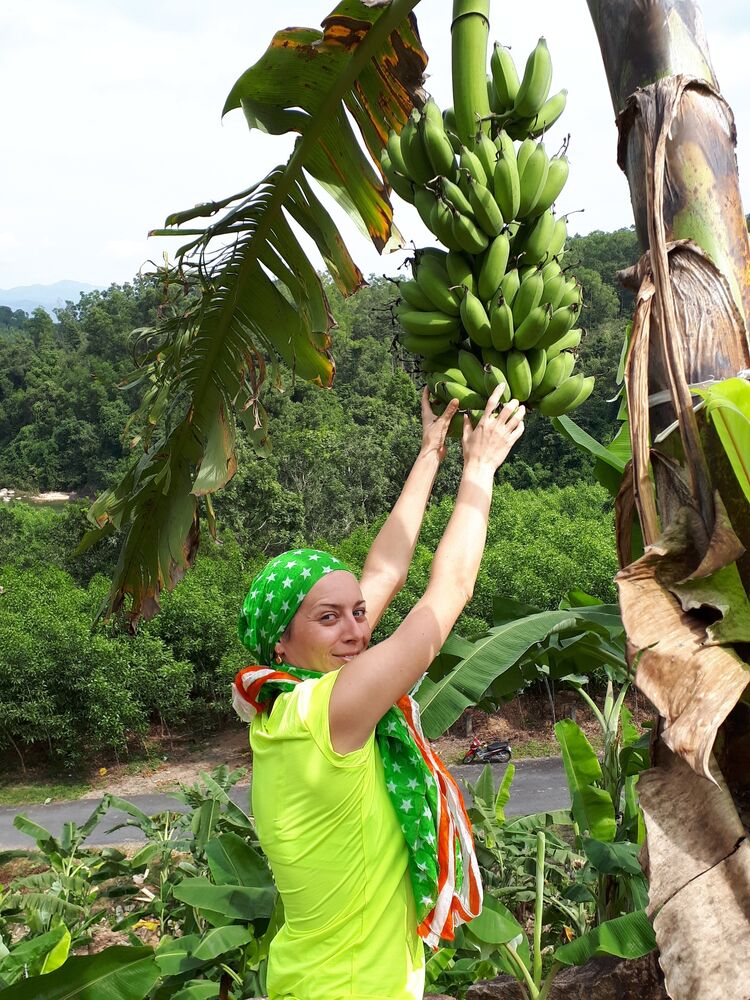 ���������� ������, ���� ������� ����, 44 ����, ������������ ��� ����� � ���������, c�������� ���������