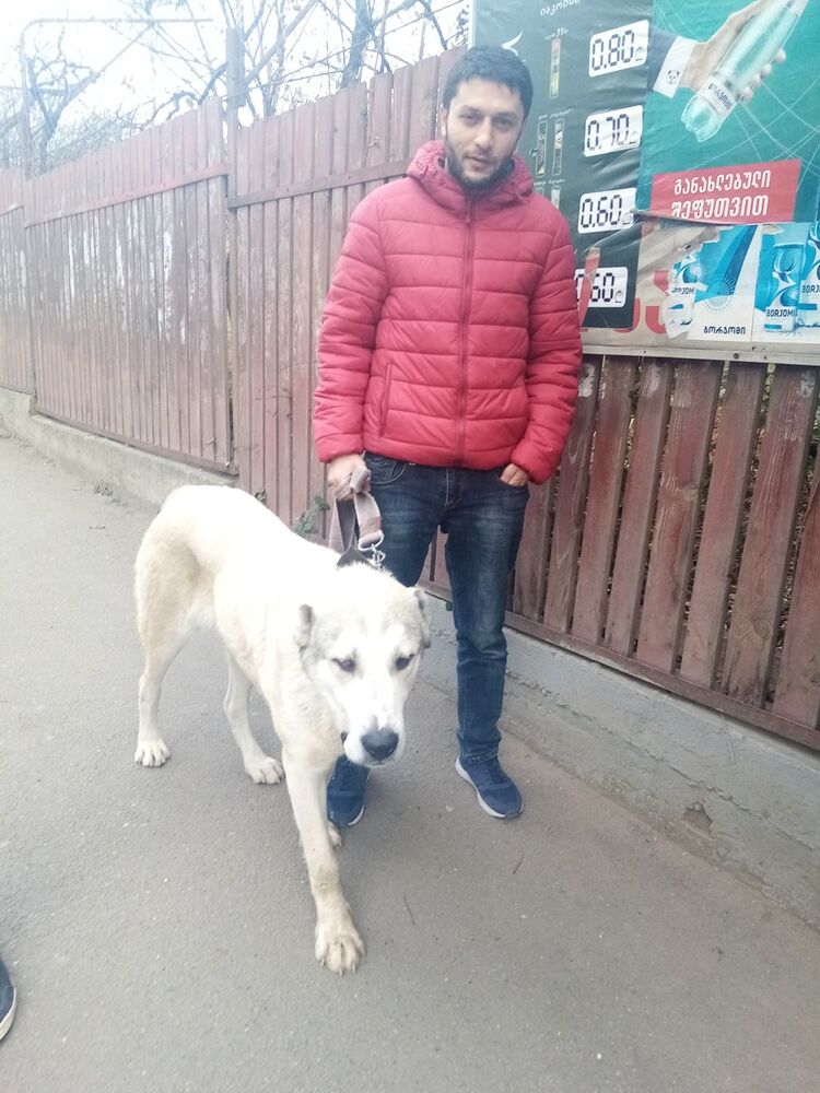 ���������� �������, ���� ������� Ruslan, 36 ���, ������������ ��� ������, ����� � ���������, c�������� ���������