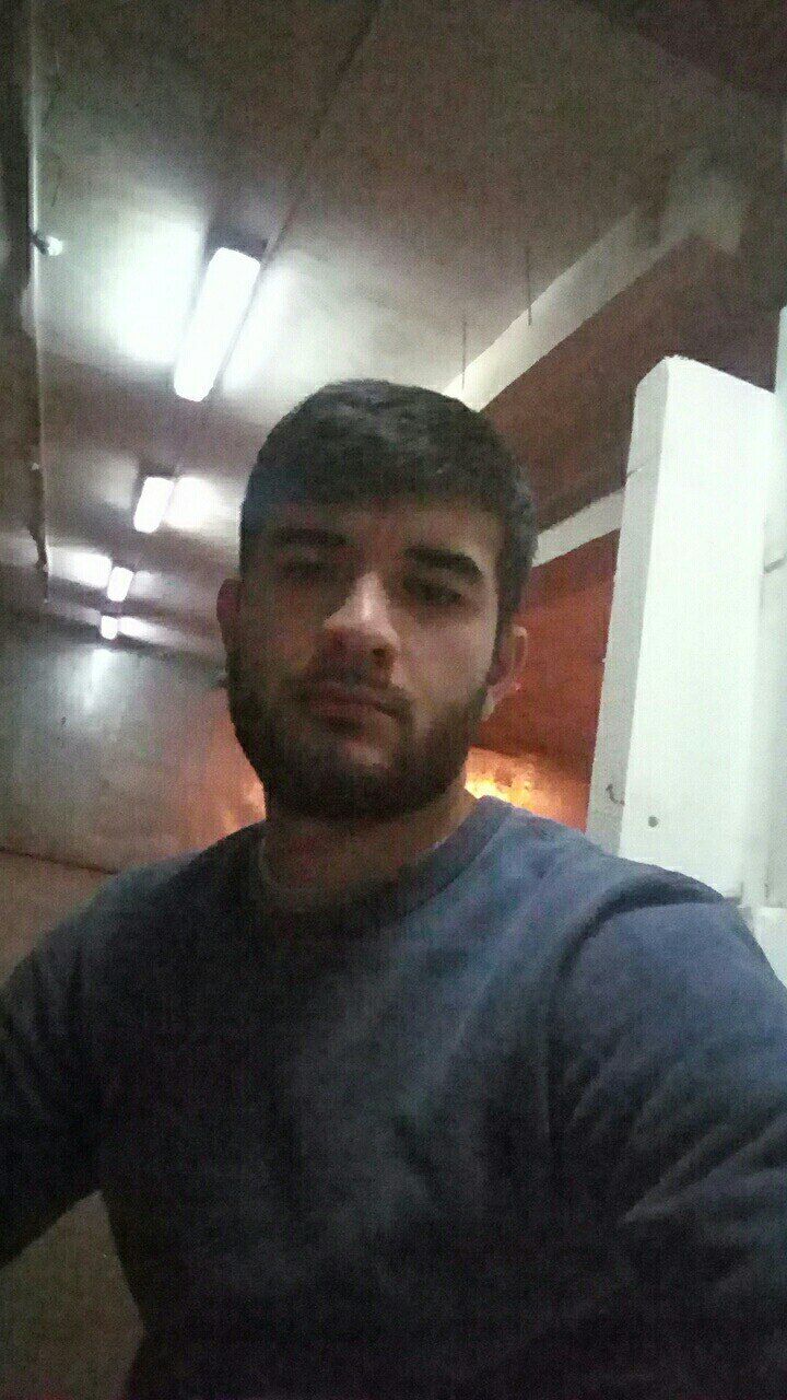  23724279  , 31 ,    