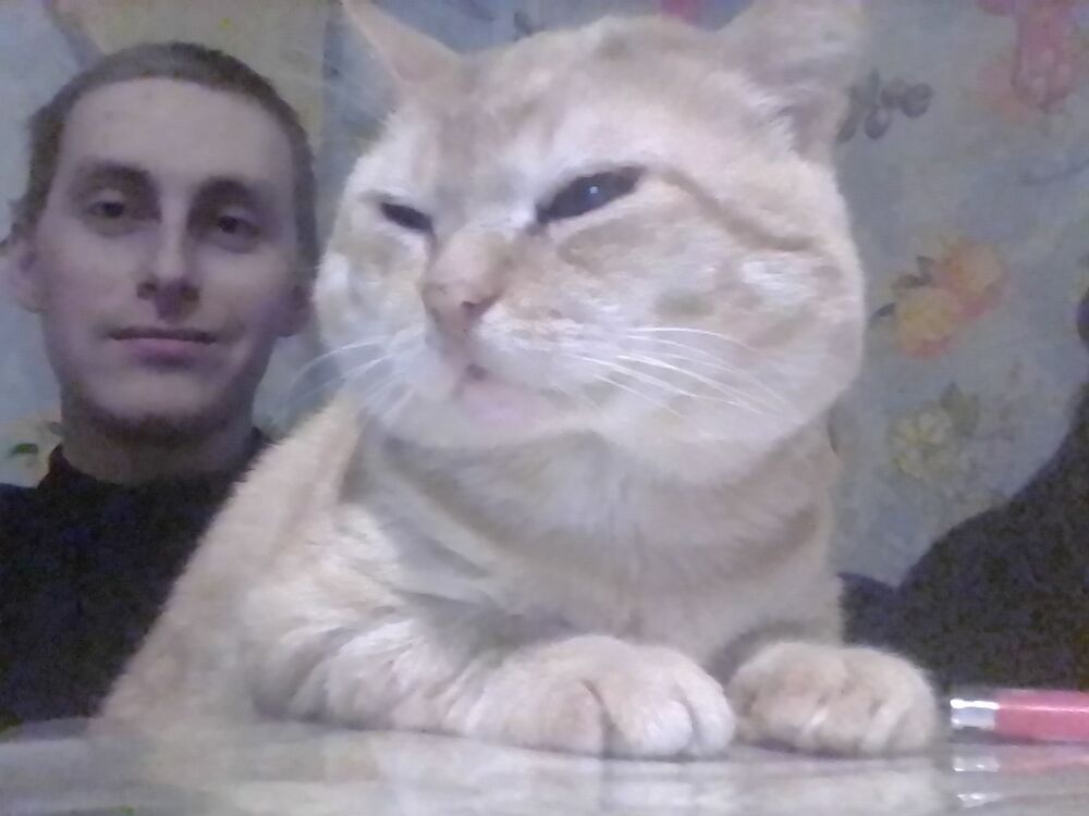 ���� 26729189 ������� ���������, 27 ���, ���� ���������� � ����������