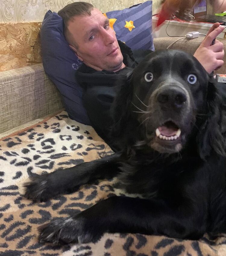 ���������� ���, ���� ������� �����, 40 ���, ������������ ��� ������, ����� � ���������