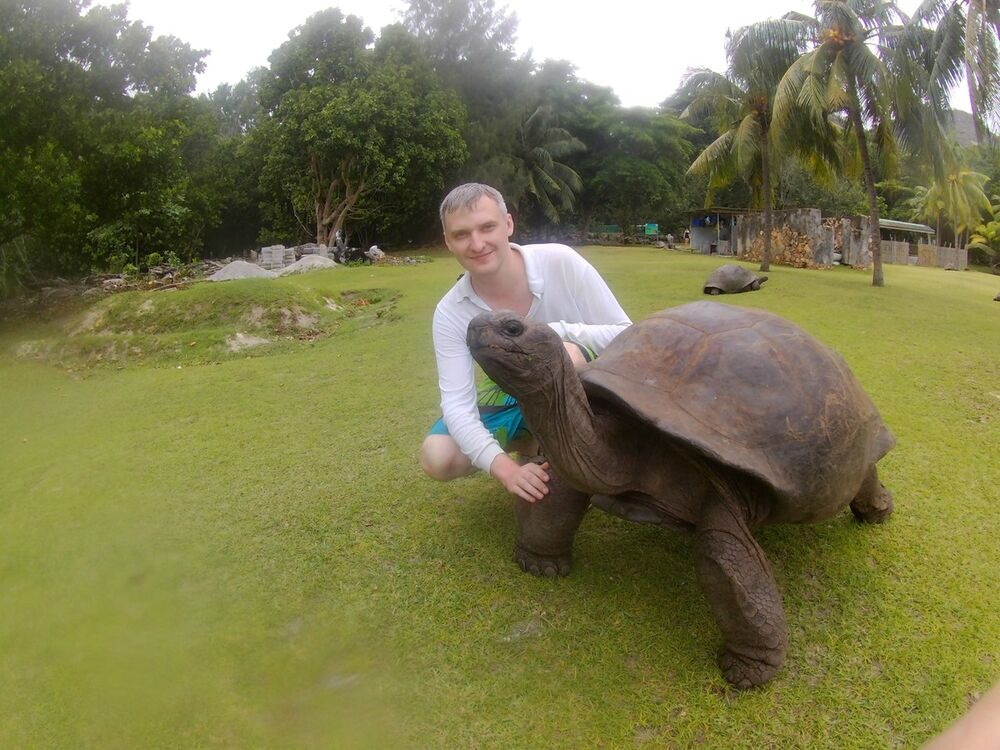 ���������� ����������, ���� ������� �����, 42 ����, ������������ ��� ������, ����� � ���������, c�������� ���������