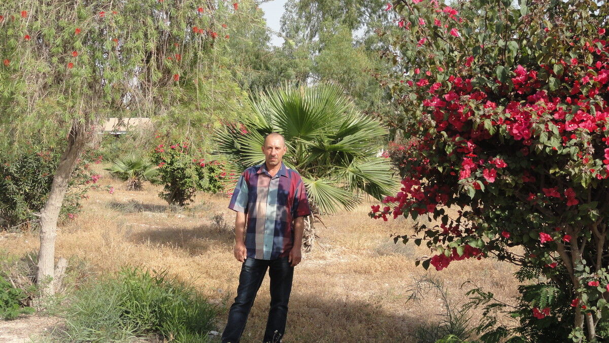  ,   , 58 ,   