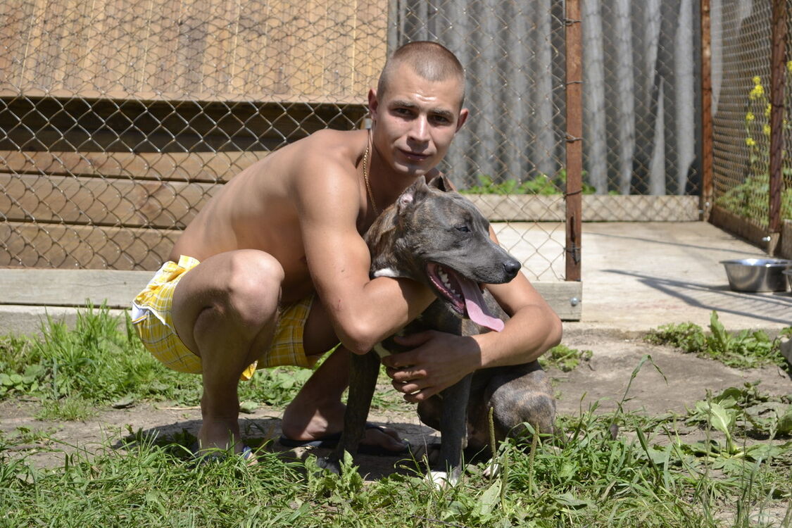 ���������� �����, ���� ������� ������, 37 ���, ������������ ��� ������