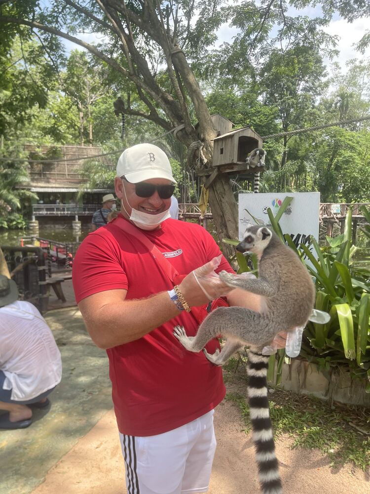 ���� 51956329 ������� ����, 36 ���, ���� ���������� � ������