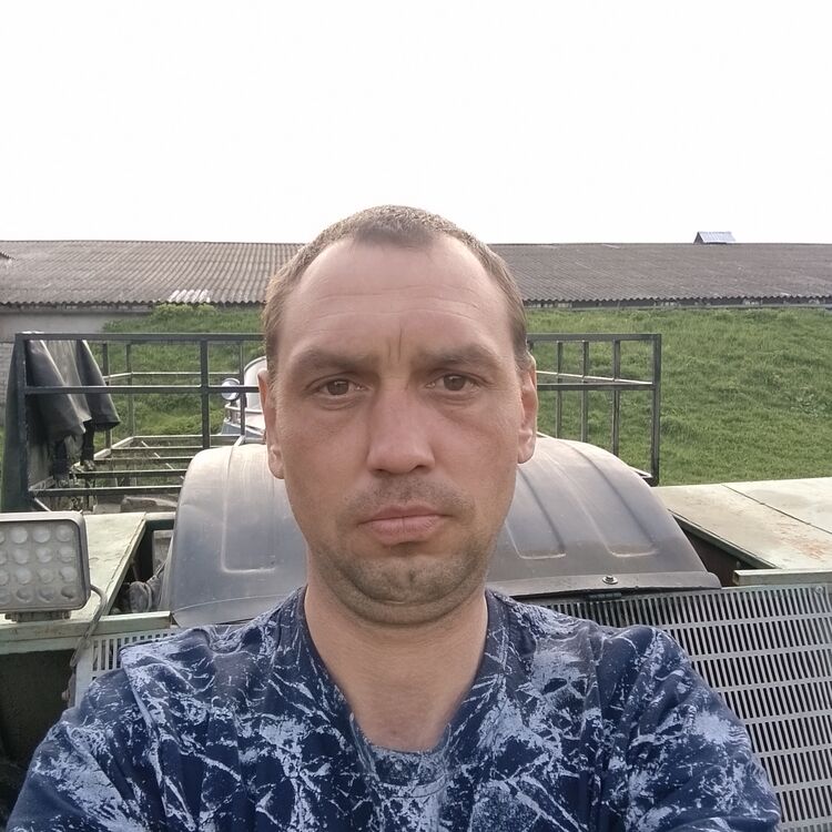  51177929  , 37 ,    