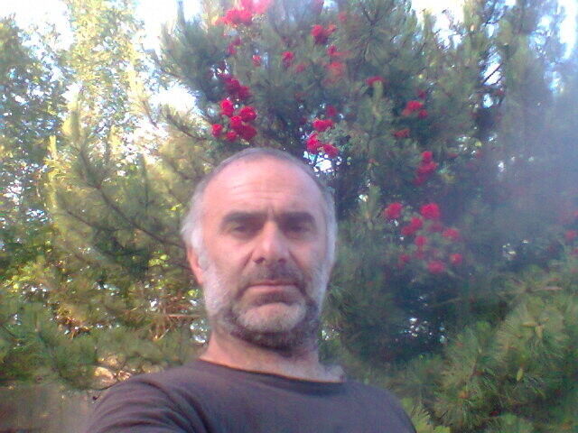   ,   , 47 ,  