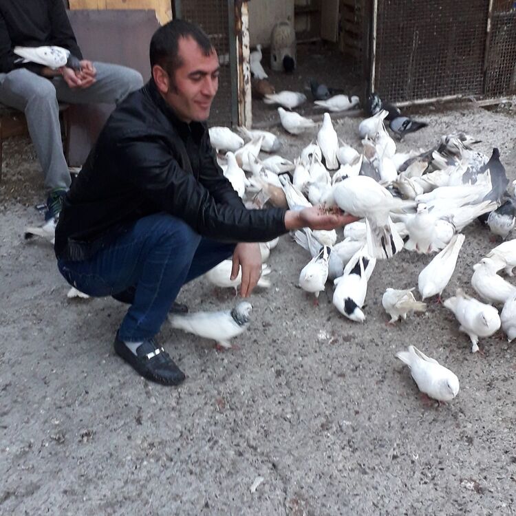  15998879  Sasun, 41 ,    