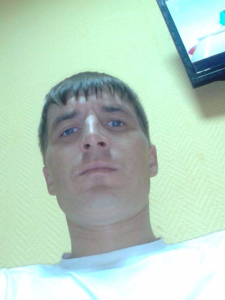  29236759  , 38 ,    