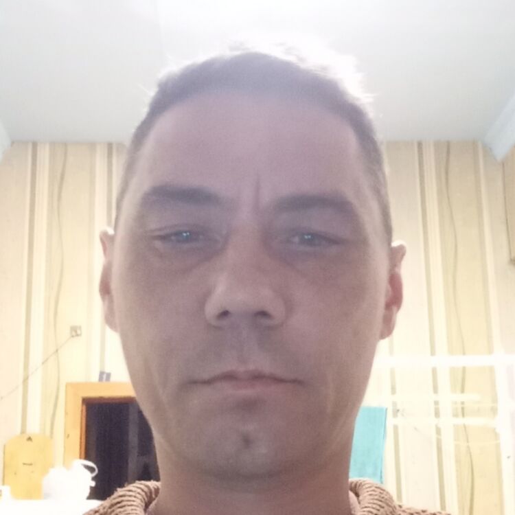  47045699  , 46 ,    